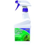 Sucker Punch (Stopper)