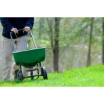 How to Overseed a Lawn and Why.
