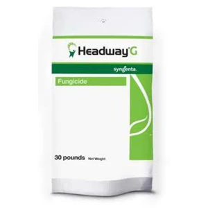 Headway G ------------------  "See-- Azprop G"