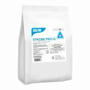Strobe Pro G Fungicide (Headway/Azprop)