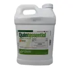 Quintessential - 2.5 gal.